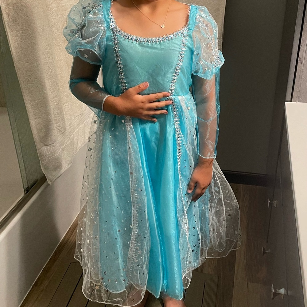 Pretty Blue Princess Costume ✨